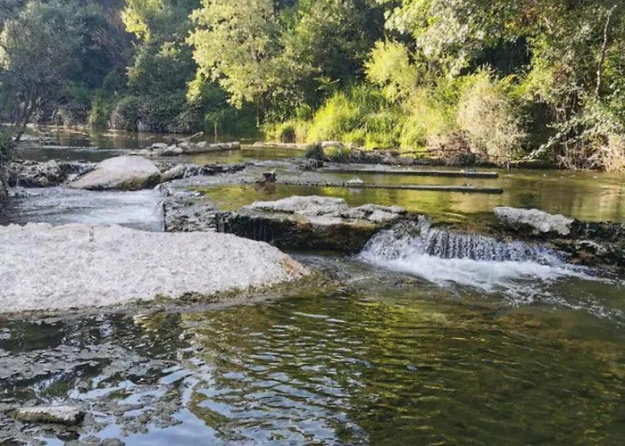 Spacieux A Avec Terrasse - Api-1-52-508